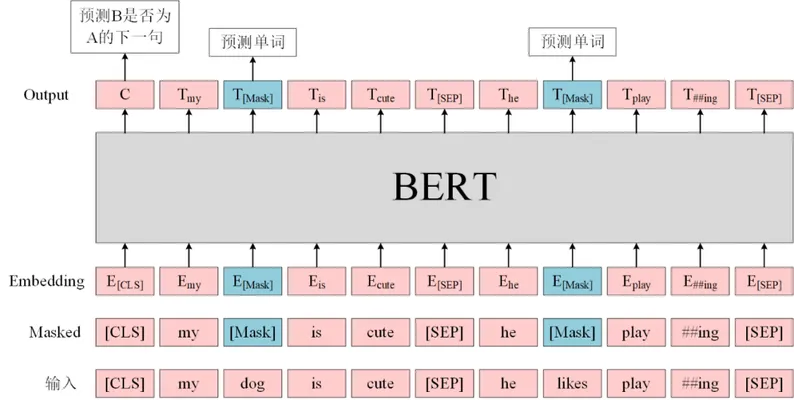 图Bert预训练