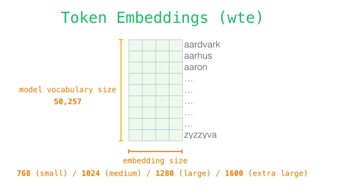 token embedding